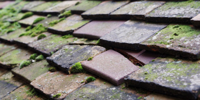 Penrhos roof repair costs